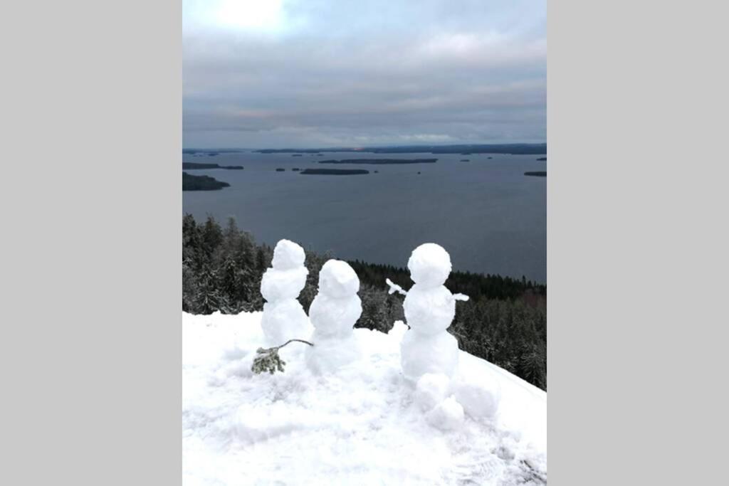 Kolin Pikkukolo - Saunallinen Studiohuoneisto Kolinkylä Buitenkant foto